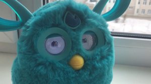 У Furby connect День смеха и пуканья. 2017 Вики Сара