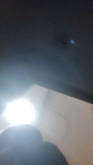 хай пупсики