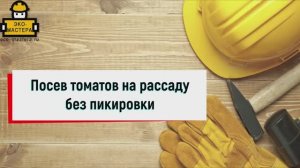 Посев томатов на рассаду без пикировки