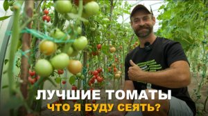 НАСТУПАЕТ ВРЕМЯ ЗАКУПКИ СЕМЯН. Какие томаты стоит посадить в следующем сезоне.