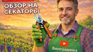 ЛУЧШИЙ СЕКАТОР?  КАКОЙ СЕКАТОР КУПИТЬ?  КАКИМИ СЕКАТОРАМИ ПОЛЬЗУЕМСЯ МЫ НА ВИНОГРАДНИКЕ.