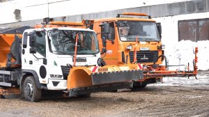 Итог ночной стихии: упавшие деревья и перекрытое движение на Пионерском проспекте