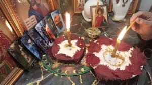 1ч. Чистка  . ЖАБЬЯ  ПОРЧА  .