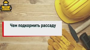 Чем подкормить рассаду для роста
