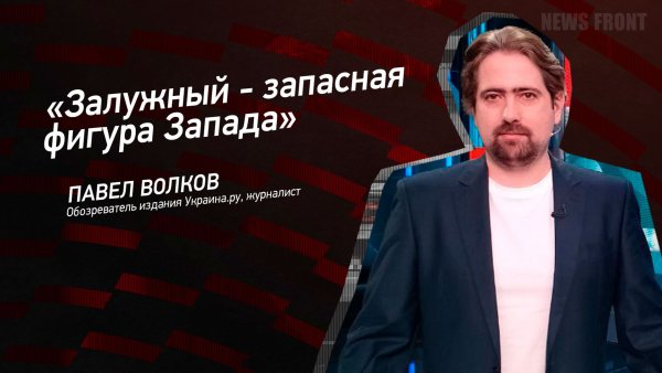"Залужный - запасная фигура Запада" - Павел Волков