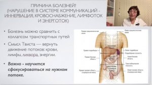 🔥 ТВИСТ-ТЕРАПИЯ. НАПРАВЛЕНИЕ В СУ ДЖОК. ДЕНЬ 4. Запись вебинара 🔥