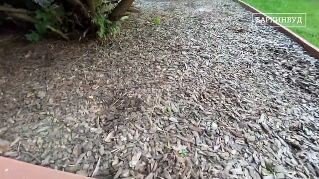 Спустя 5 лет ⏰ Кора лиственницы 2-3 см Стандарт [ОБЗОР] смотреть онлайн