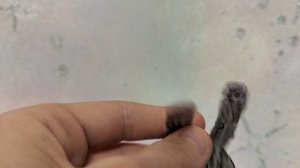 Новости и обзор на новую бумажную собаку Луну. 
В следующем видео будет обзор!!!