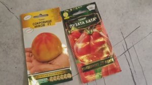 VLOG Салат посадили, редиску, помидоры. Потрудились и покушали ☺.