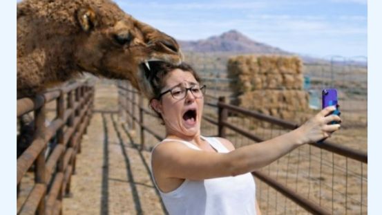 ТОП 100 Самых Смешных Видео