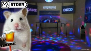 Хомяк в клубе 🐹 Забавный момент с хомяком 🐹 Хомяк Хомура