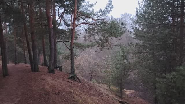 Люди-паразиты смотреть онлайн