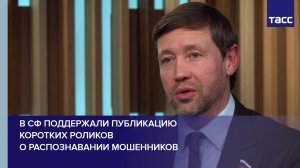 В СФ поддержали публикацию коротких роликов о распознавании мошенников