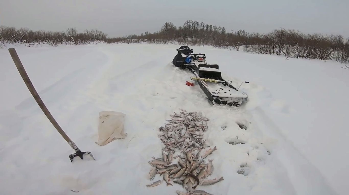 РЫБАЛКА НА ОЗЕРЕ. ДЕНЬ ВТОРОЙ. смотреть онлайн