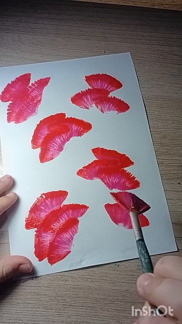 InShot_20260219_134851406