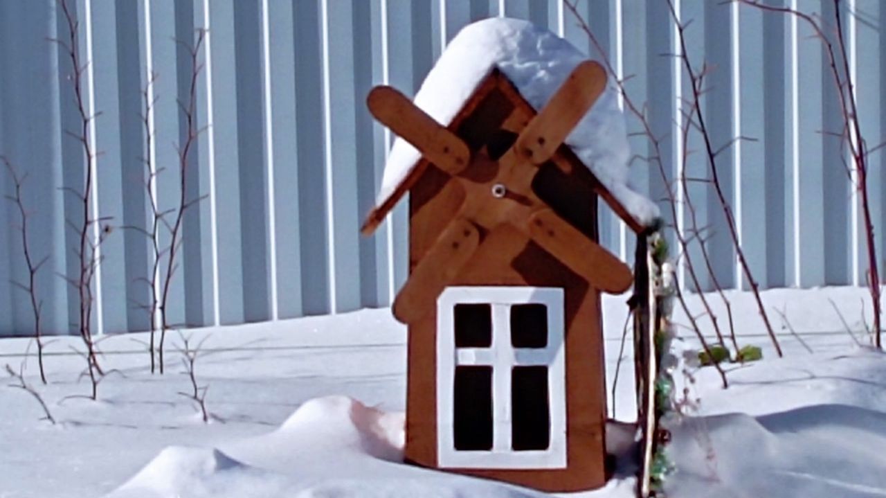 Моя грядка: дневник садовода. Хроника, 17.02.26. Посевной сезон открыт)