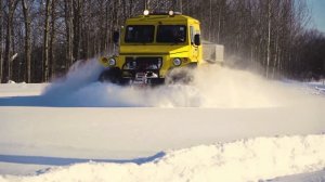 СТМ-39962 (Снежная целена)