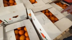 Апельсины от подписчика