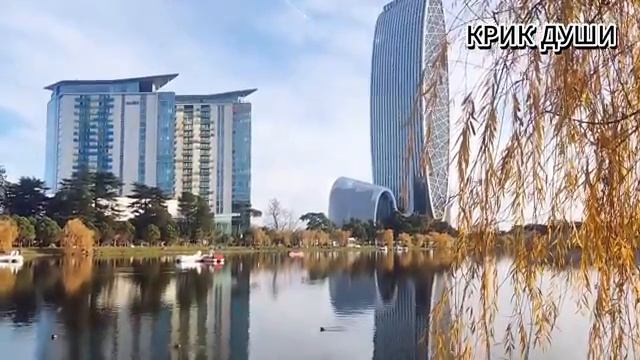 ₽аненая птица.