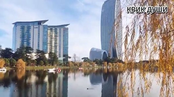 ₽аненая птица.