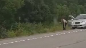 Мужчина, уверенный в своих силах, предпринял попытку покормить камчатского медведя с рук.