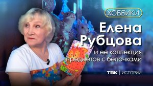 Елена Рубцова и ее коллекция предметов с изображением белок / «Хоббики»