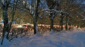 Иду домой...