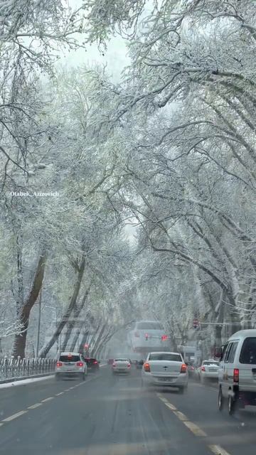 Бульвар в городе Самарканде