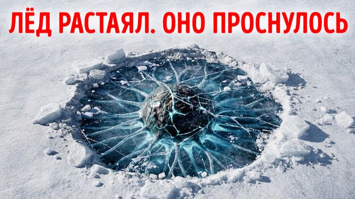 Обнаружены древние микробы 🦠 Учёные бьют тревогу смотреть онлайн