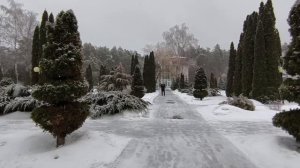 Восьмой день в Красиво 18.02.26.