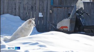 11:30 ВЕСТИ САХА 19/02/26 НА РУССКОМ ЯЗЫКЕ