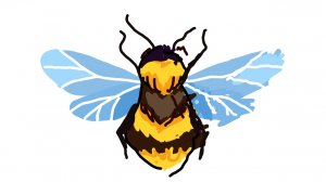 вечерние трансляция