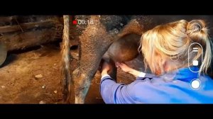 Официальный трейлер "Обе две (2024)"