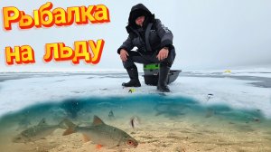 Зимняя рыбалка на бель. МАНЫЧ 2026.