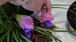 Проверяю хозяйство после отпуска.