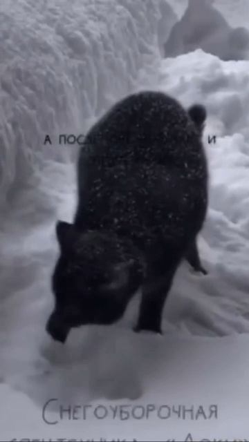 Убираем как можем смотреть онлайн