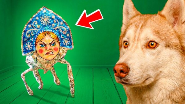 СНЕГУГУ ГАГА!! НОВОЕ ОПАСНОЕ ЧУДОВИЩЕ!! Хаски Бублик Говорящая собака