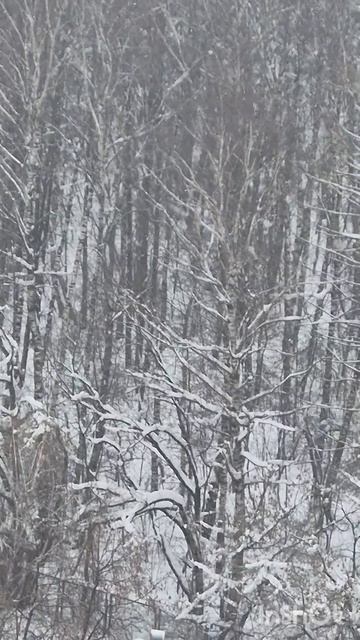 Минута поэзии смотреть онлайн