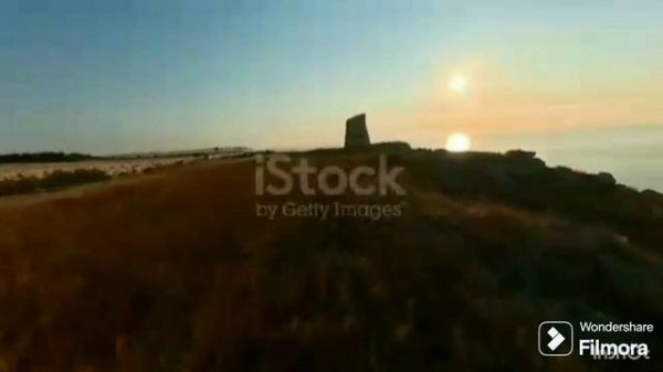 The Dream (Мечта) & Secret Garden & Harmonica Tombo Unichromatic