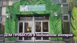 Дом приматов в Московском зоопарке. Экскурсия по павильону, где живут около 30 видов обезьян