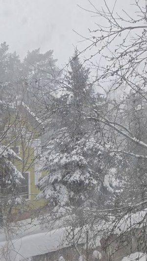 Февральский снегопад.