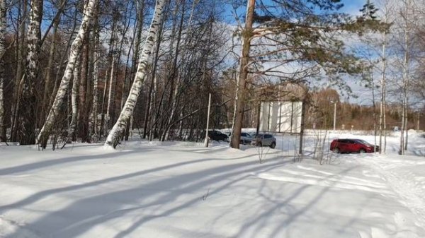 Рома на прогулке с повязкой, 14:40, 19.02.2026