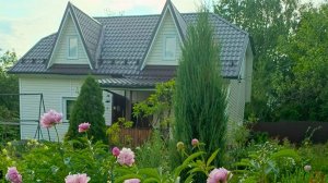 Замачиваю семена перца на рассаду. Сезон 2026 года. Мой опыт.