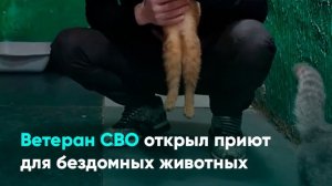Ветеран СВО открыл приют для бездомных животных
