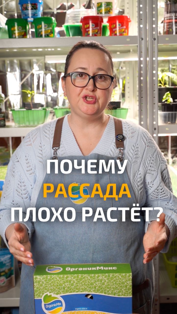 Почему рассада плохо растет? смотреть онлайн