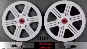 Замирает забирает