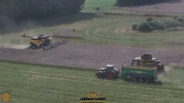 Как 15-метровый комбайн на самом большом в мире комбайне New Holland CR11 обмолачивает рапс