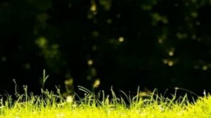 М.805)) Молимся вместе. Молитва веры.