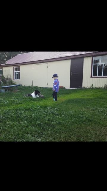 Ярик играет с Даром