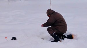 Фореливая рыбалка на безлимите РК"Фишка Петряиха"